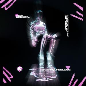 Album I GOTTA FEELING (HYPERTECHNO SPED UP) from TURBORAVE