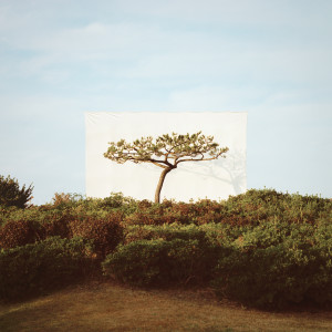 Listen to Tree song with lyrics from LYN JAE