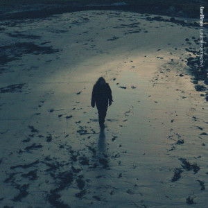 Album Understrøm from Ane Brun