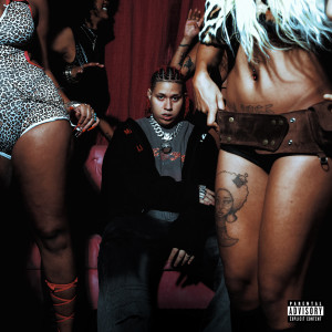 ดาวน์โหลดและฟังเพลง FREESTYLE DE LUXO (feat. Yunk Vino) (Explicit) พร้อมเนื้อเพลงจาก Wiu