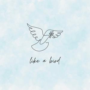 Album like a bird from 李俊纬
