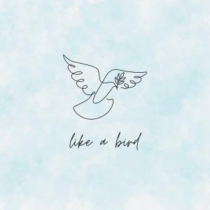 อัลบัม like a bird ศิลปิน 李俊纬