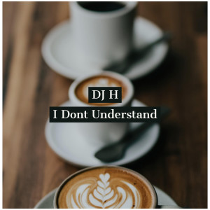 Listen to I Don't Understand song with lyrics from DJ H