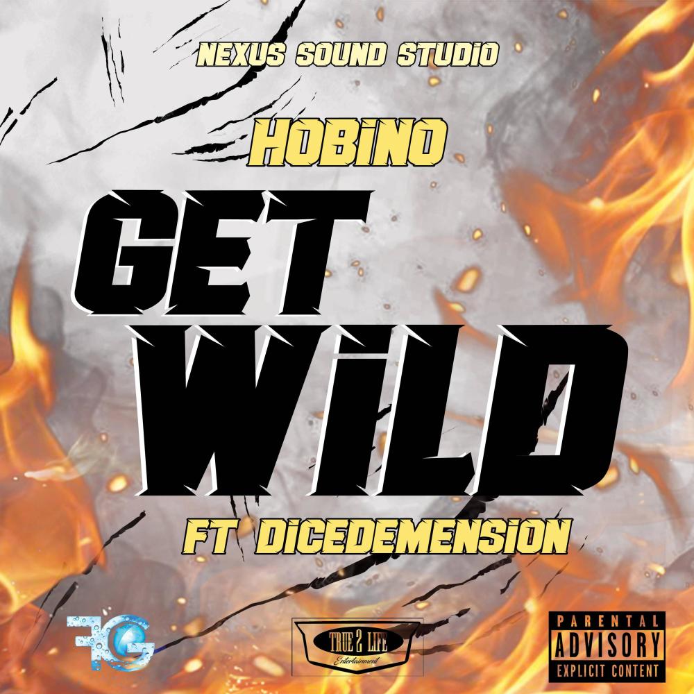 Get Wild (feat. Dice Demension) (Explicit)