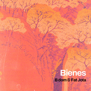 Album Bienes from B dom