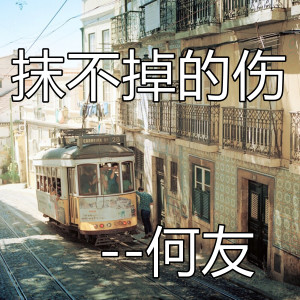 收聽何友的抹不掉的傷 (DJ咚鼓版)歌詞歌曲