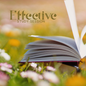 Album Effective Study Session (Nature Sounds for Classroom, Lower Exam Stress Level, Nondisctracting Music for Learning and Concentration) from 