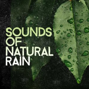 ดาวน์โหลดและฟังเพลง Approaching Storm พร้อมเนื้อเพลงจาก Outside Broadcast Recordings