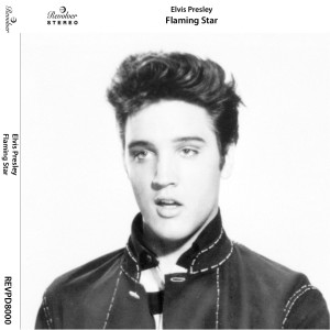 ดาวน์โหลดและฟังเพลง Summer Kisses Winter Tears พร้อมเนื้อเพลงจาก Elvis Presley