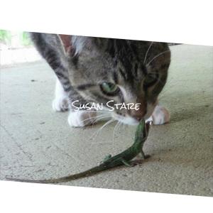 收聽Pame Cicy的Dreamy Today歌詞歌曲