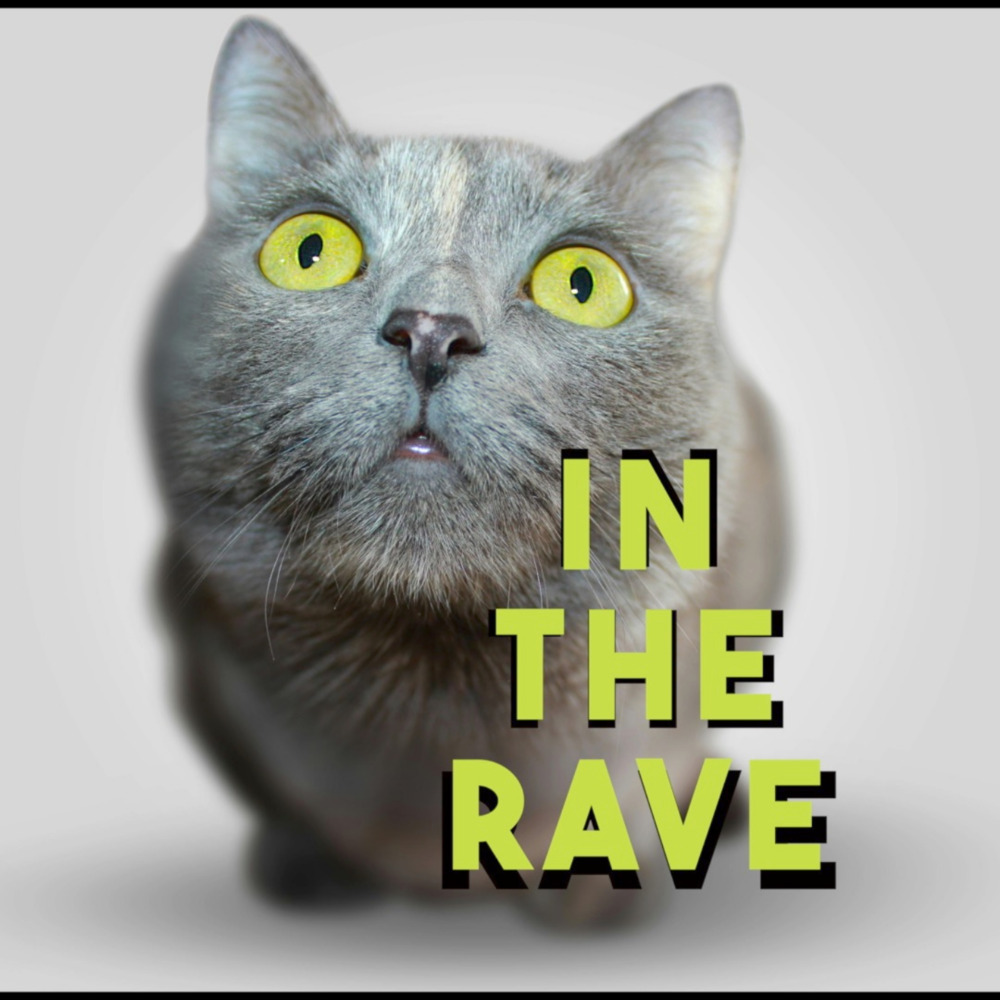 In The Rave (Explicit)