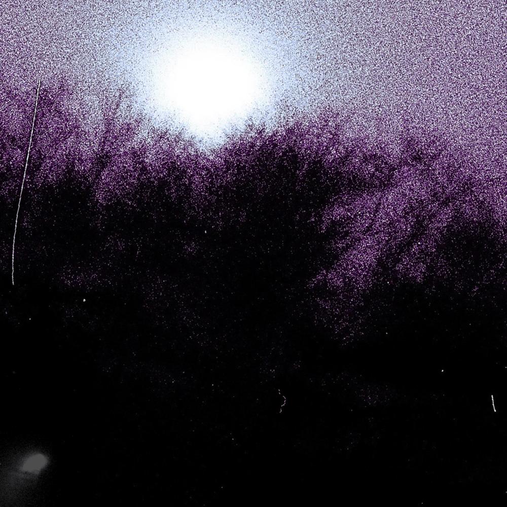 Surely Be The Night