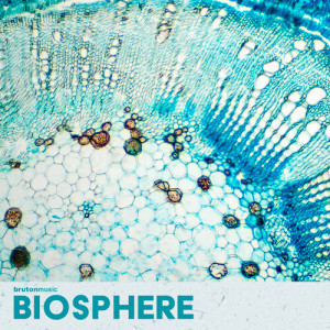 Album Biosphere from Charlie Tenku