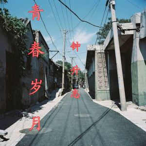 Album 青春岁月 from 