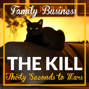 ดาวน์โหลดและฟังเพลง The Kill พร้อมเนื้อเพลงจาก Family Business