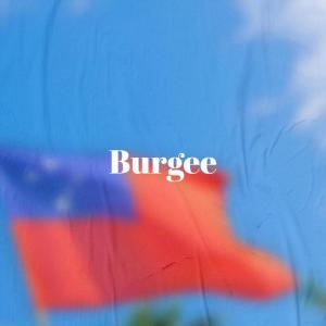Various的专辑Burgee