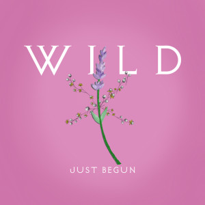 收聽Wild的Just Begun歌詞歌曲