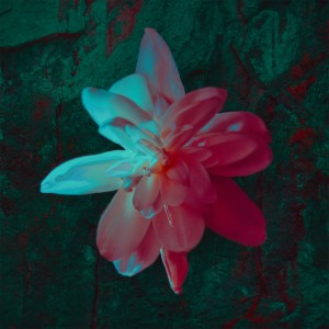 收听Barasuara的Pancarona歌词歌曲