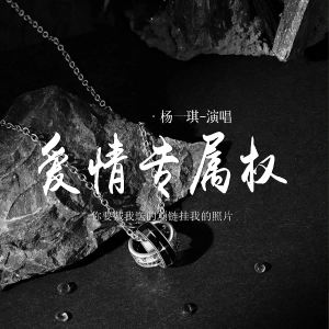 Listen to 爱情专属权 (你要戴我送的项链挂我的照片) song with lyrics from 杨一琪