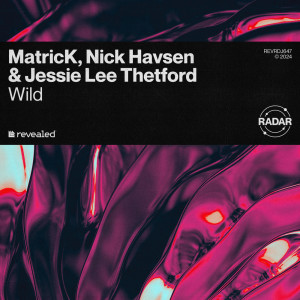 Nick Havsen的專輯Wild