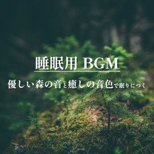 Album BGM for Sleep gentle forest sounds and soothing tones to help you fall asleep from ALL BGM CHANNEL