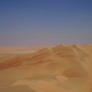 อัลบัม The Creation Dream ศิลปิน Pantha Du Prince