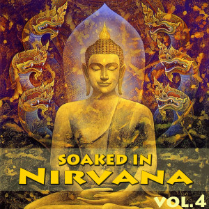Album Soaked In Nirvana, Vol.4 from Dune