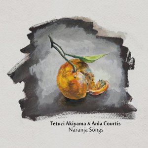 收聽Tetuzi Akiyama的The Citrico Vibe歌詞歌曲
