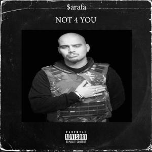 Not 4 You (feat. Dee) [RMX] (Explicit)