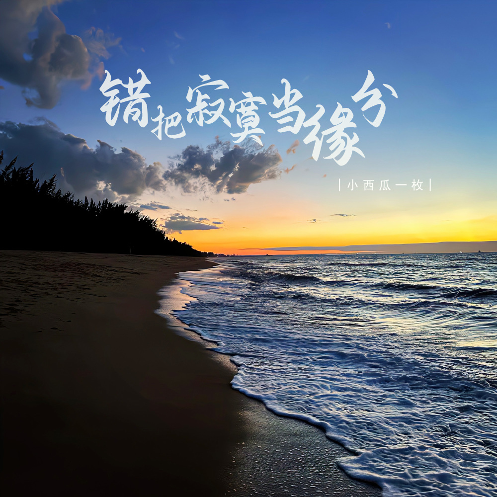 错把寂寞当缘分 (伴奏)
