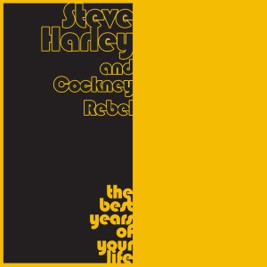 Steve Harley & Cockney Rebel的專輯The Best Years of Your Life