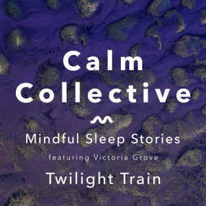Mindful Sleep Stories: Twilight Train