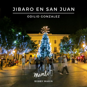 ดาวน์โหลดและฟังเพลง Jibaro En San Juan พร้อมเนื้อเพลงจาก Odilio Gonzalez