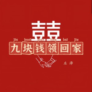 Album 九块钱领回家 from 左泽