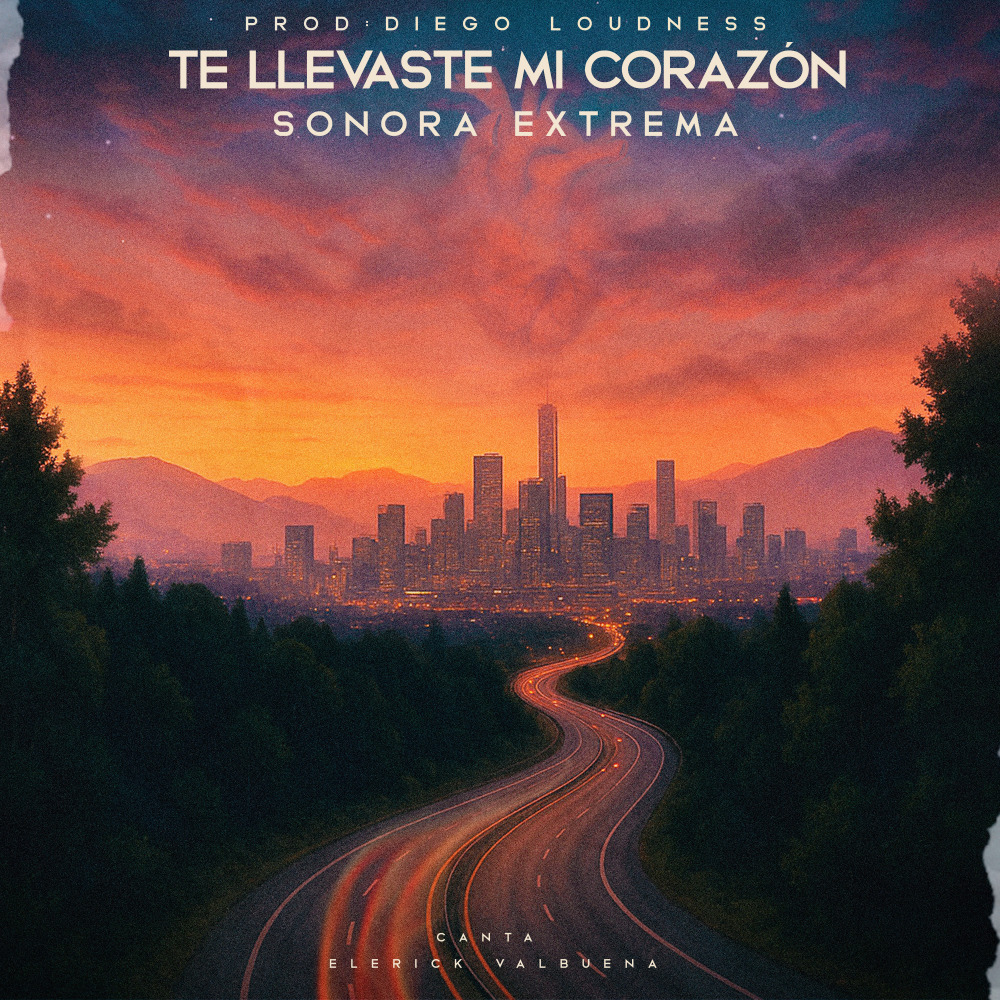 Te llevaste mi corazón