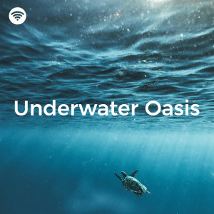 Underwater Sleep Orchestra的專輯Underwater Oasis: Bubble Sounds for Relax