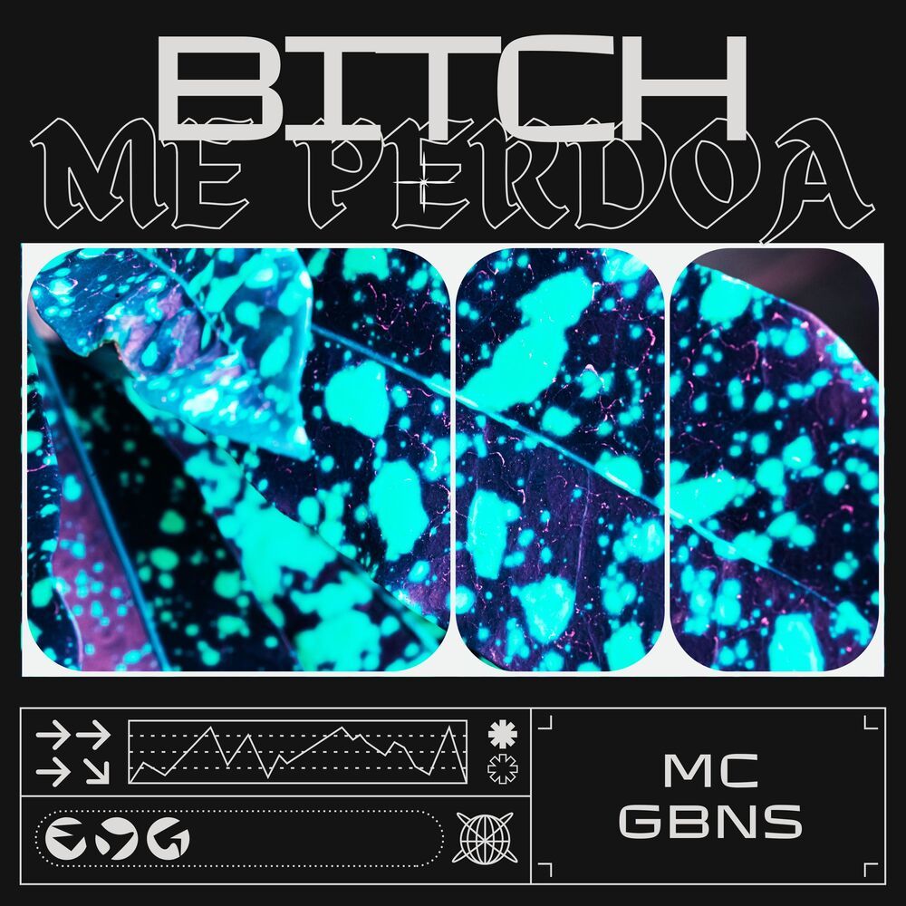 bitch, me perdoa (Explicit)