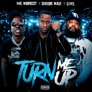 Album Turn Me Up (Explicit) from Segedric Wade