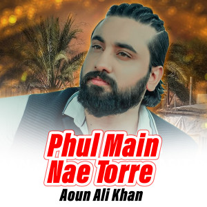 Listen to Phul Main Nae Torre song with lyrics from Aoun Ali Khan