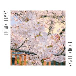 Dengarkan lagu spring's here nyanyian Paper Hero dengan lirik