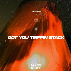 Geminic的專輯Got You Trippin Stack