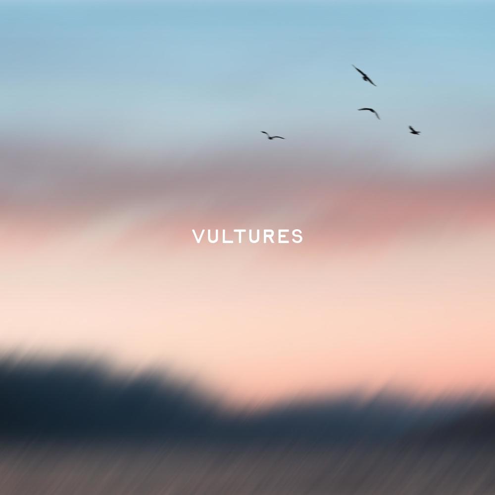 Vultures