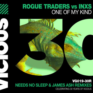 Album One Of My Kind (Remixes) from Rogue Traders