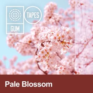 GTP390 Pale Blossom dari GUM TAPES