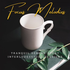 Piano Study Serenity: Mindful Focus Melodies