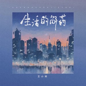 Album 生活的解药 oleh 王小帅