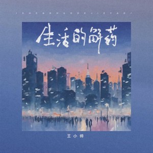 Album 生活的解药 from 王小帅