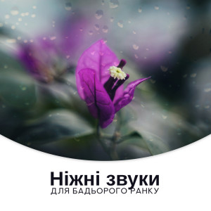 Dengarkan Заспокійлива медитація lagu dari Медитаційна Музична Зона dengan lirik