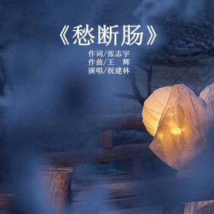 Listen to 愁断肠 (完整版) song with lyrics from 祝建林