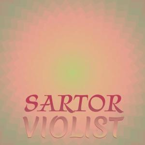 Various Artists的專輯Sartor Violist